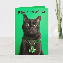 Prettig St. Patricks Dag Kat in Shamrock Feestdagen Kaart