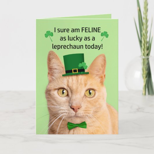 Prettig St. Patrick's Dag Vriend Cute Kat Leprecha Feestdagen Kaart (Voorkant)