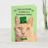 Prettig St. Patrick's Dag Vriend Schattige Kat Lep Feestdagen Kaart (Voorkant)