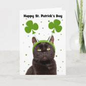 Prettig St. Patrick's Dag Zwarte Kat in Shamrocks Feestdagen Kaart (Voorkant)