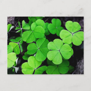 Prettig St. Patrick's Day... geluk van de Ieren Feestdagenkaart