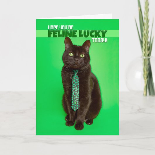 Prettig St. Patrick's Day Grappige Kat in Klaver Feestdagen Kaart (Voorkant)