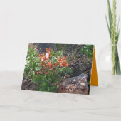 Prettig Thanksgiving! by Janz Feestdagen Kaart (Voorkant)