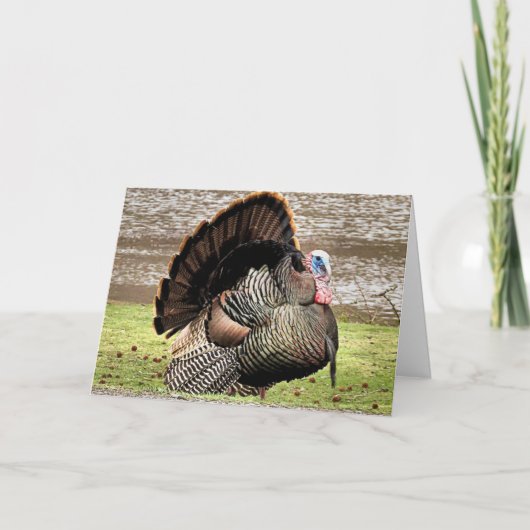 Prettig Thanksgiving Kaart (Voorkant)