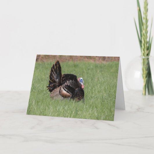 Prettig Thanksgiving Kaart (Voorkant)