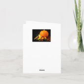 Prettig Thanksgiving Kaart (Achterkant)