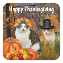 Prettig Thanksgiving Moppige Katten Pompoen