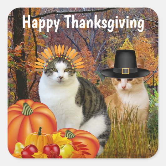 Prettig Thanksgiving Moppige Katten Pompoen Vierkante Sticker (Voorkant)