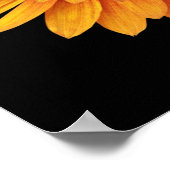 Prettig Thanksgiving   Poster (Hoek)