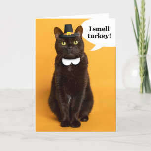 Prettig Thanksgiving voor elke Zwarte Pelgrim Kat Feestdagen Kaart