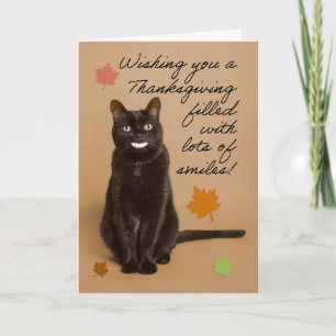 Prettig Thanksgiving Voor Iedereen Grappige Kat Me Feestdagen Kaart