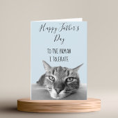Prettig Vaderdag Van Kat Tot Mens I Grappig Kaart