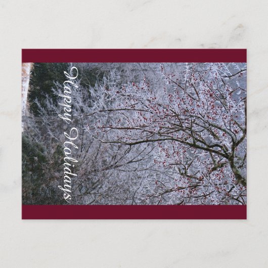 Prettig vakantieseizoen ansichtkaart feestdagenkaart (Voorkant)