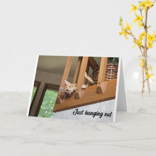 "PRETTIG VALENTIJN" VAN HANGENDE KAT KAART (Gele Bloem)