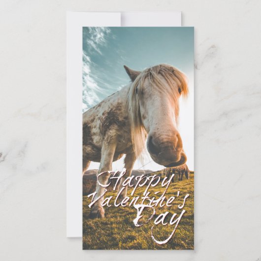Prettig Valentijnsdag met kijkend Paard (Voorkant)