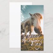 Prettig Valentijnsdag met kijkend Paard (Voorkant / Achterkant)