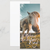 Prettig Valentijnsdag met kijkend Paard (Voorkant / Achterkant)