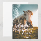 Prettig Valentijnsdag met kijkend Paard (Voorkant / Achterkant)