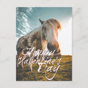 Prettig Valentijnsdag met kijkend Paard Feestdagenkaart