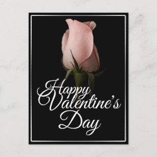 Prettig Valentijnsdag met roze roos Feestdagenkaart