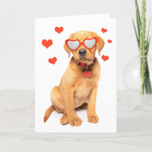 Prettig Valentijnsdag Rode Vos Labrador Puppy Humo Feestdagen Kaart