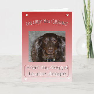 Prettig Wollig Kerstfeest Van de ene Hond naar de Feestdagen Kaart