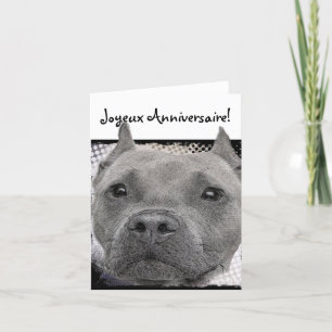 Prettige Anneversaire Pitbull Dog Greeting Card Kaart