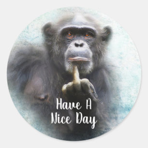 Prettige Dag Leuke Chimpansee Middelvinger Ronde Sticker