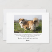 Prettige eerste kerstfoto's, bessen en groen feestdagenkaart (Achterkant)