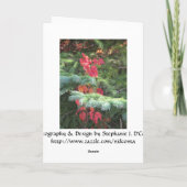 prettige feestdagen (Achterkant)