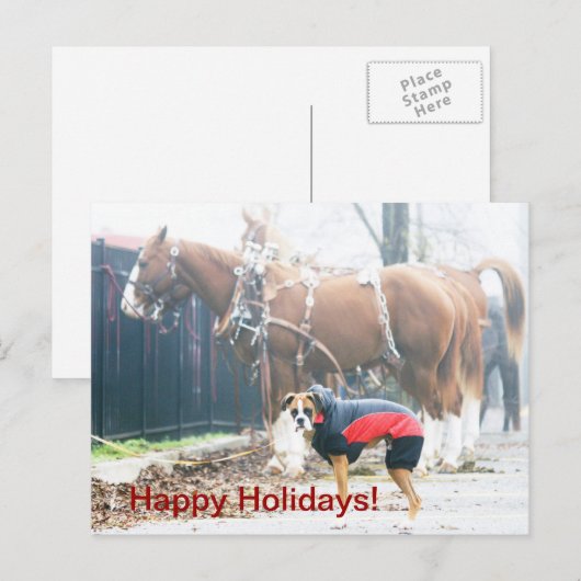 prettige feestdagen (Voorkant / Achterkant)