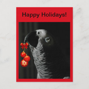 Prettige feestdagen African Grey - Briefkaart