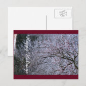 Prettige Feestdagen Ansichtkaart (Voorkant / Achterkant)