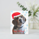 Prettige feestdagen Beagle (Staand voorkant)