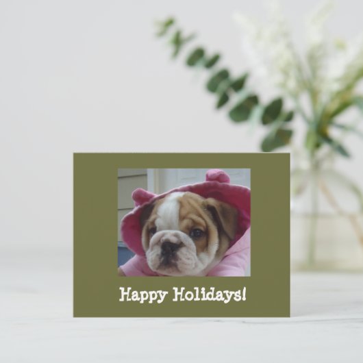 Prettige feestdagen Briefkaart Engelse Bulldog (Staand voorkant)
