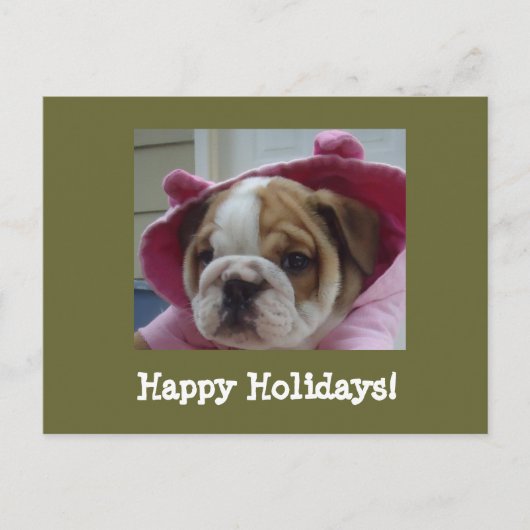 Prettige feestdagen Briefkaart Engelse Bulldog (Voorkant)