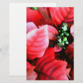 prettige feestdagen_ briefpapier (Voorkant / Achterkant)
