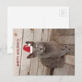 Prettige feestdagen CaGrey Cat Briefkaart (Voorkant / Achterkant)