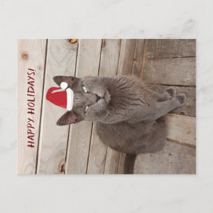 Prettige feestdagen CaGrey Cat Briefkaart