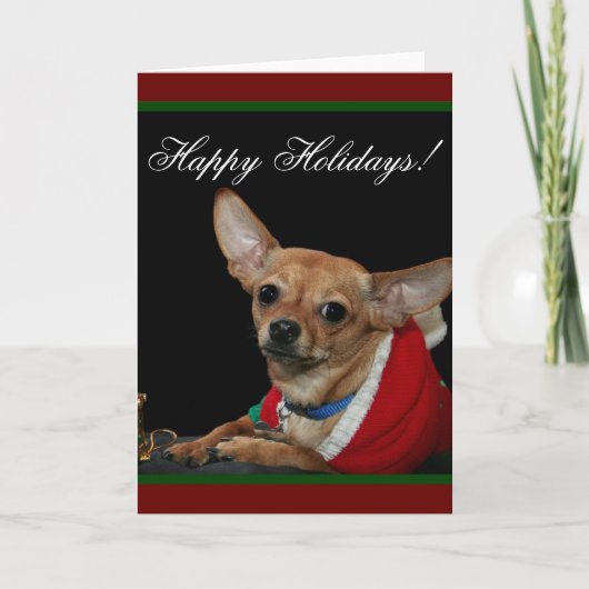 Prettige feestdagen €? Chihuahua Kaart (Voorkant)
