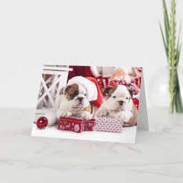 Prettige feestdagen Christmas English Bulldogs Kaa