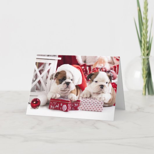 Prettige feestdagen Christmas English Bulldogs Kaa (Voorkant)