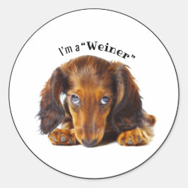 prettige feestdagen Dachshund Dog Animal Pet Ronde Sticker