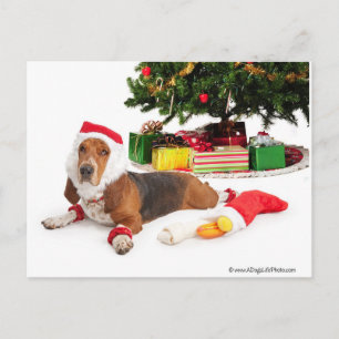 Prettige feestdagen _/december