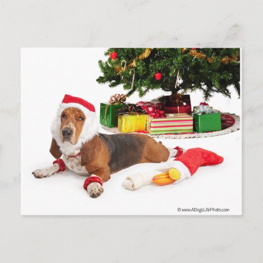 Prettige feestdagen _/december (Voorkant)