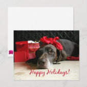 Prettige Feestdagen duitse staande hond (Voorkant / Achterkant)
