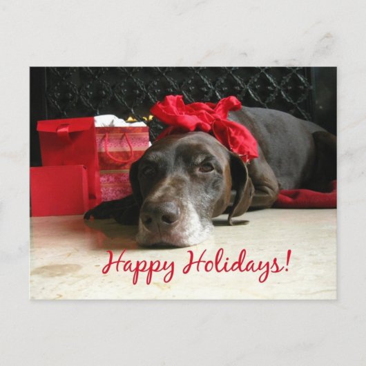 Prettige Feestdagen duitse staande hond (Voorkant)