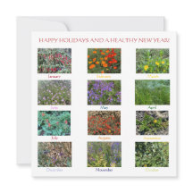 PRETTIGE FEestdagen EN EEN GEZOND NIEUW JAAR!