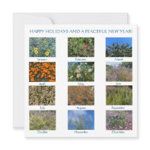 Prettige feestdagen en een vreedzaam nieuwjaar!