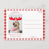 Prettige feestdagen Feestelijk | Hond foto Briefkaart (Achterkant)